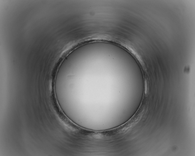 X0000091460253200708161113