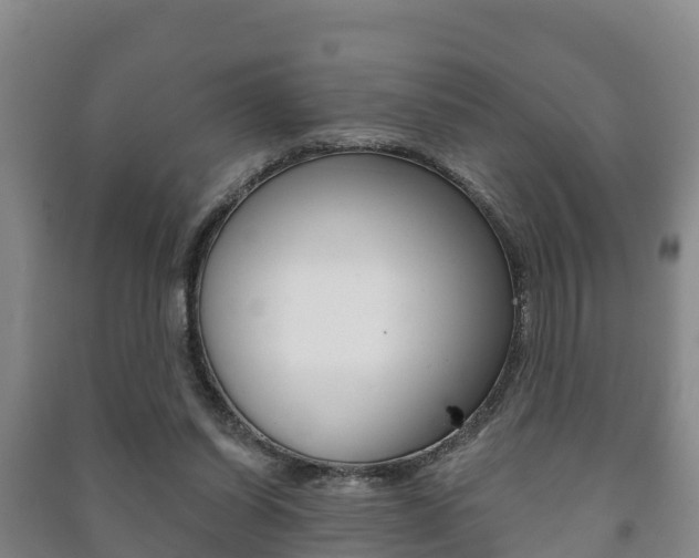 X0000091460254200708161113