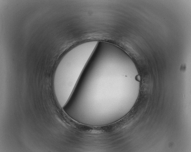 X0000091460255200708161113