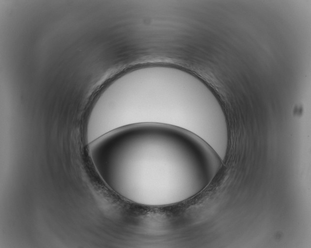 X0000091460256200708161113