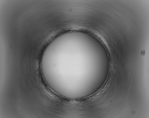 X0000091460257200708161113