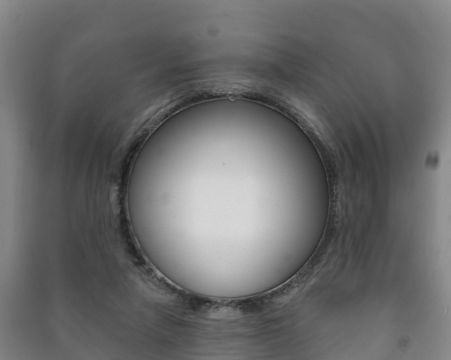 X0000091460258200708161113