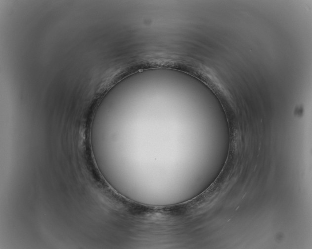 X0000091460259200708161113