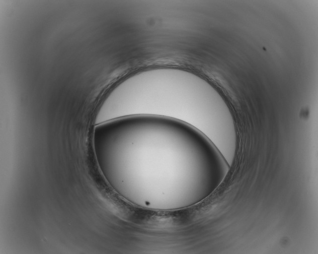 X0000091460260200708161113