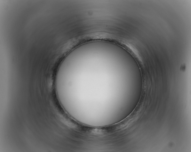 X0000091460261200708161113