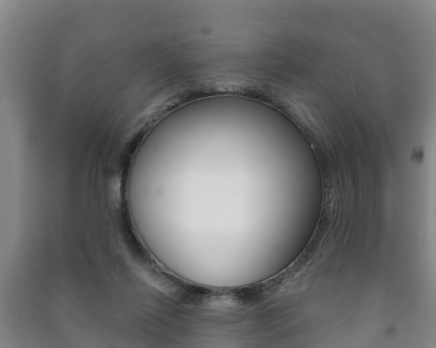 X0000091460262200708161113
