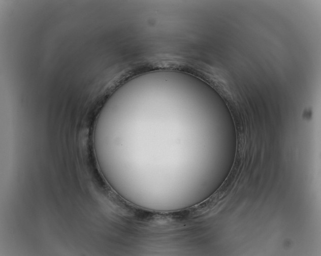 X0000091460263200708161113
