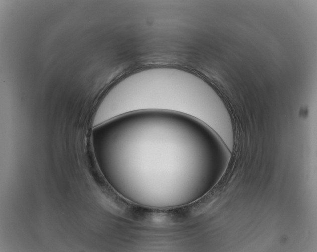 X0000091460264200708161113