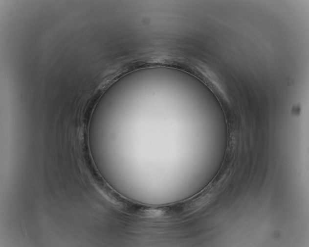 X0000091460265200708161113
