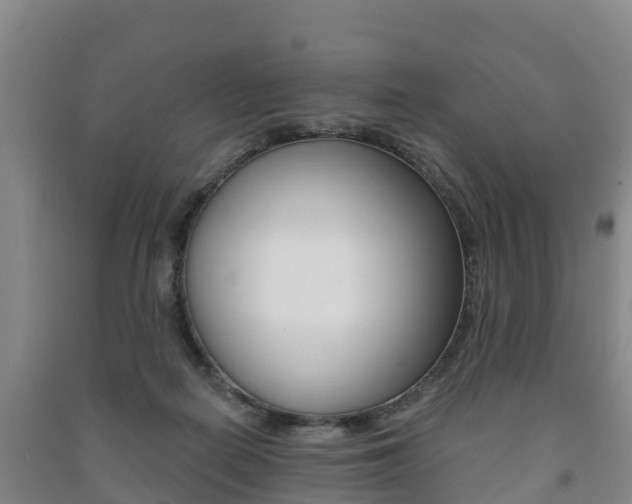X0000091460266200708161113