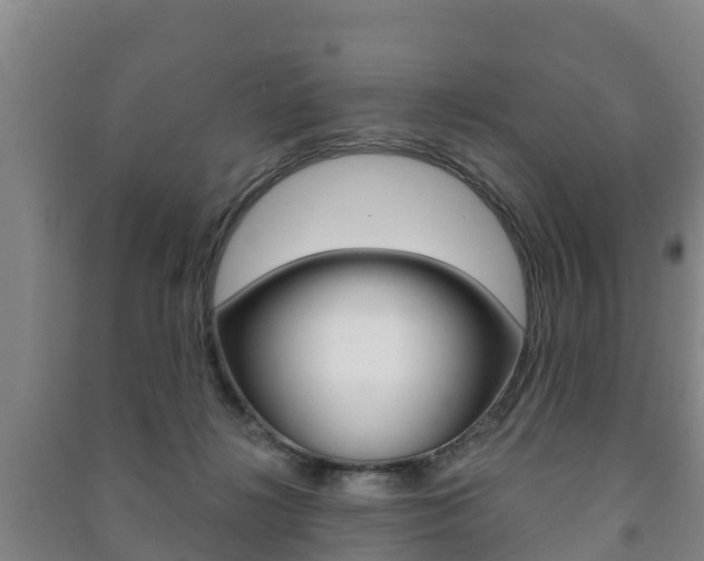 X0000091460268200708161113