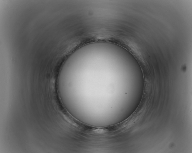 X0000091460269200708161113