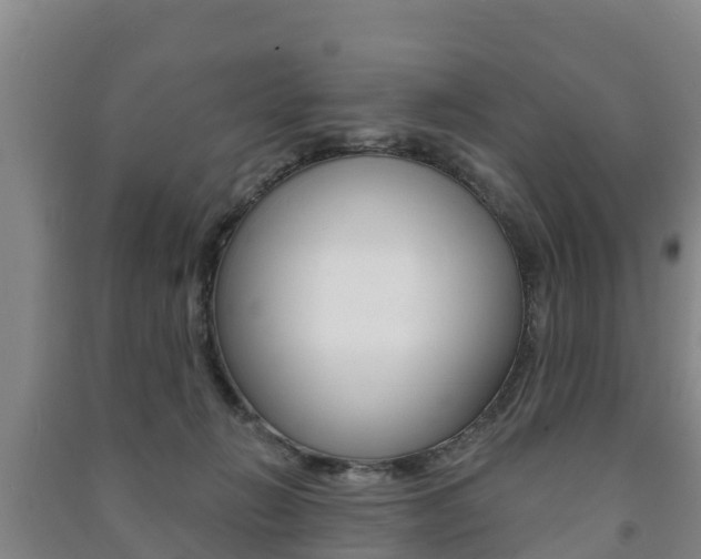X0000091460270200708161113