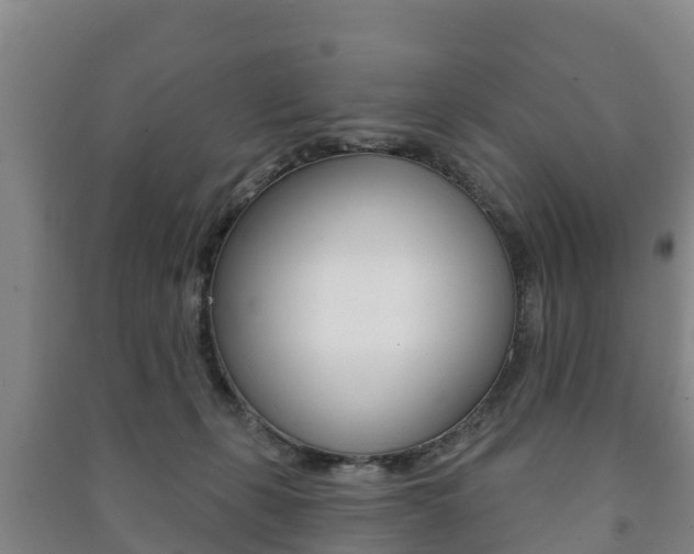 X0000091460271200708161113