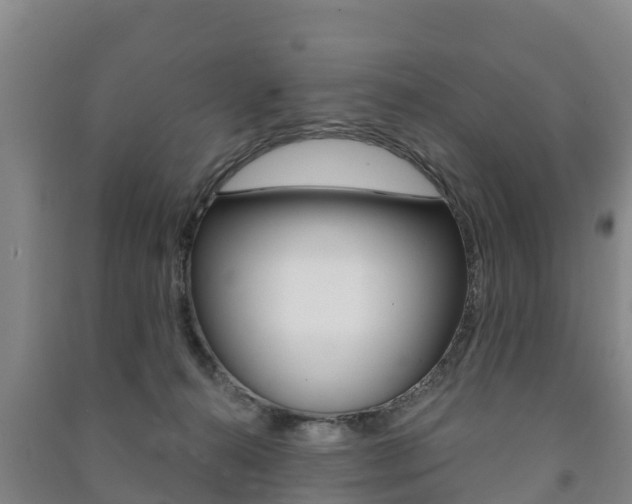 X0000091460272200708161113