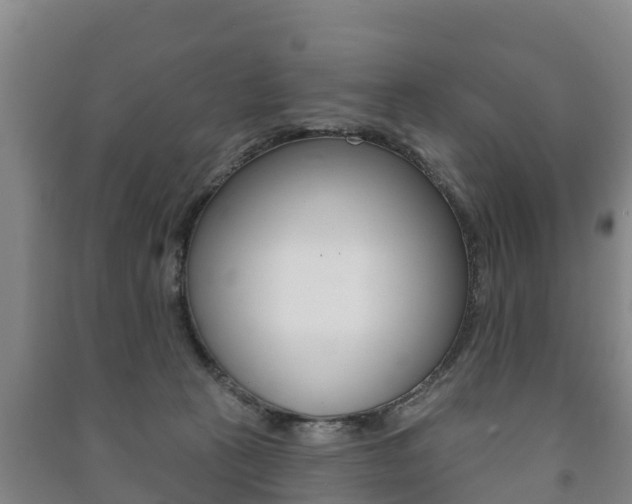 X0000091460273200708161113