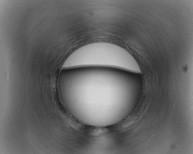X0000091460274200708161113
