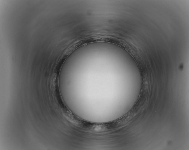 X0000091460275200708161113