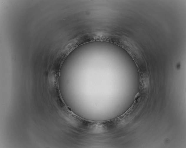 X0000091460276200708161113