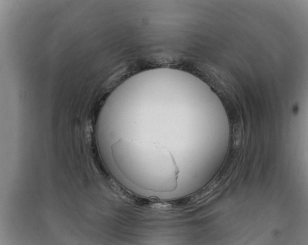X0000091460279200708161113