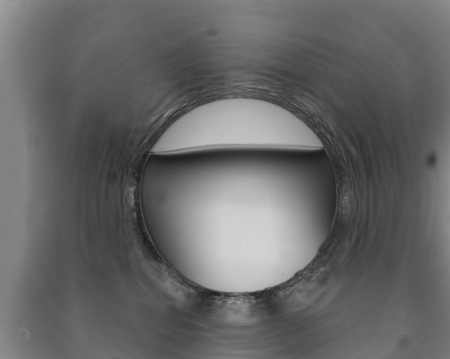 X0000091460282200708161113