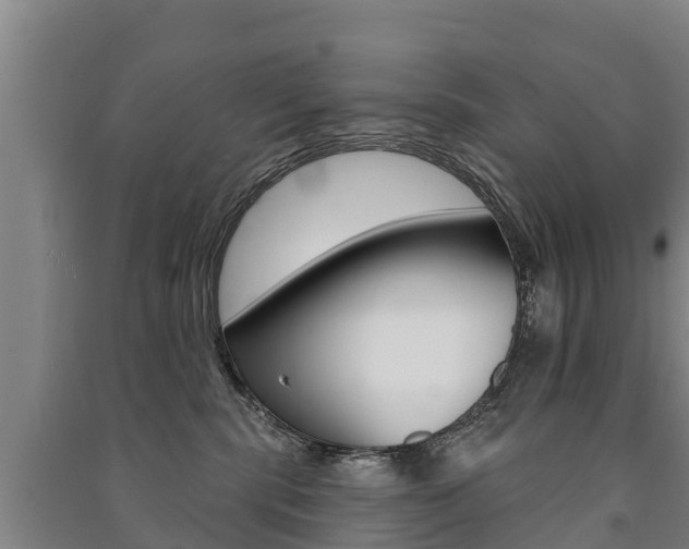 X0000091460283200708161113