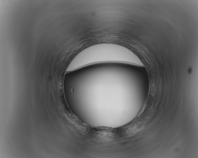 X0000091460284200708161113