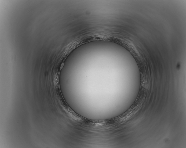 X0000091460285200708161113