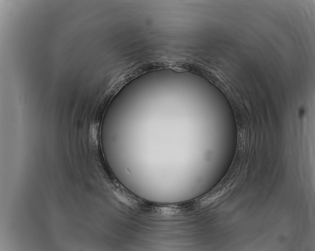 X0000091460286200708161114