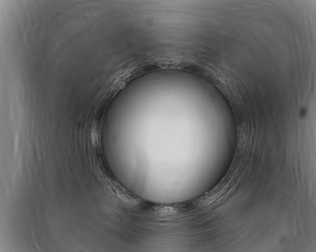 X0000091460287200708161114