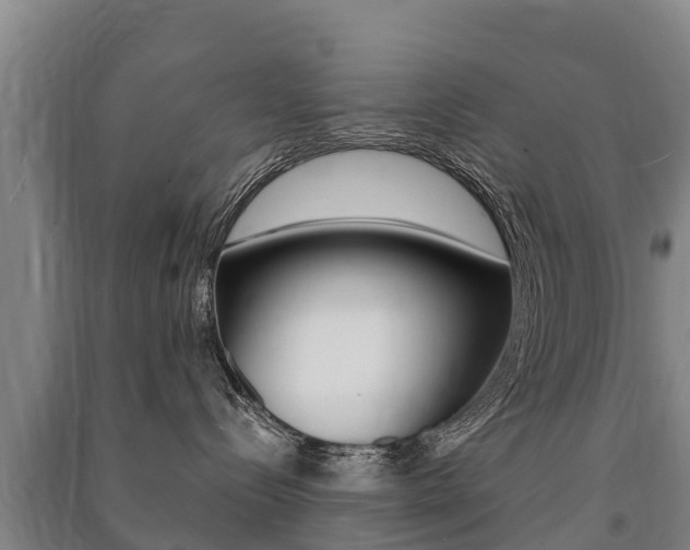 X0000091460288200708161114