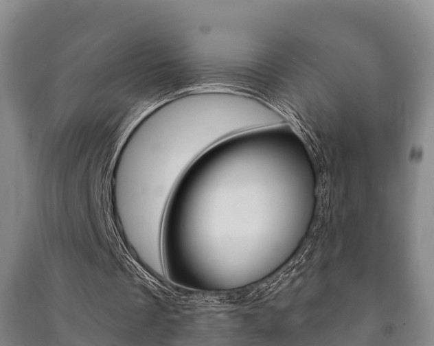 X0000091460289200708161113