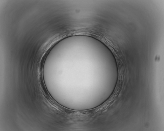 X0000091460290200708161113