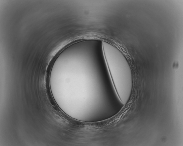 X0000091460292200708161113