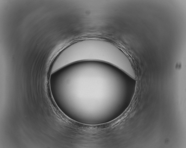 X0000091460293200708161113