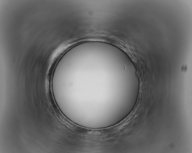 X0000091460294200708161113