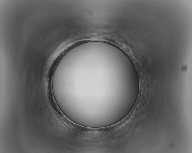 X0000091460295200708161113