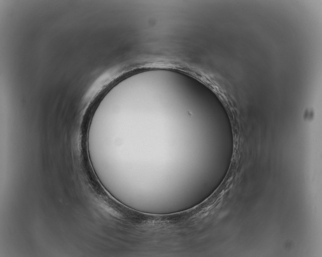 X0000091460296200708161113
