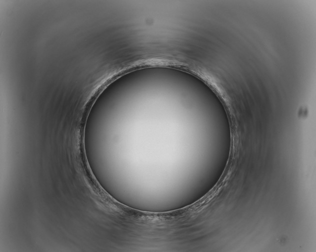X0000091460297200708161113