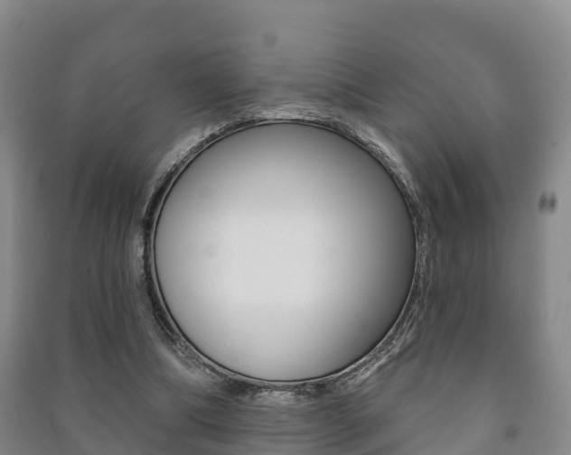 X0000091460298200708161113
