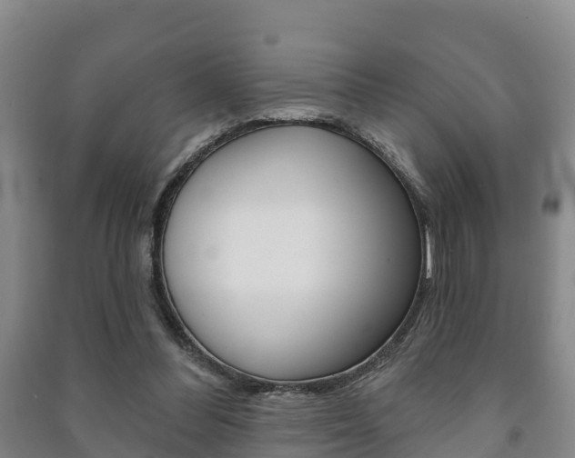 X0000091460300200708161113