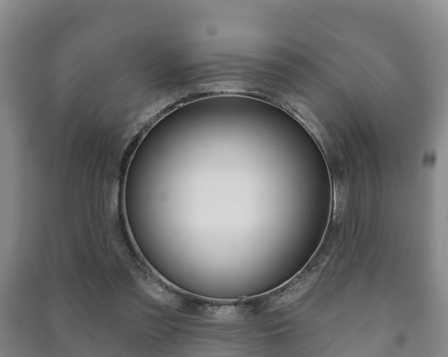 X0000091460301200708161113