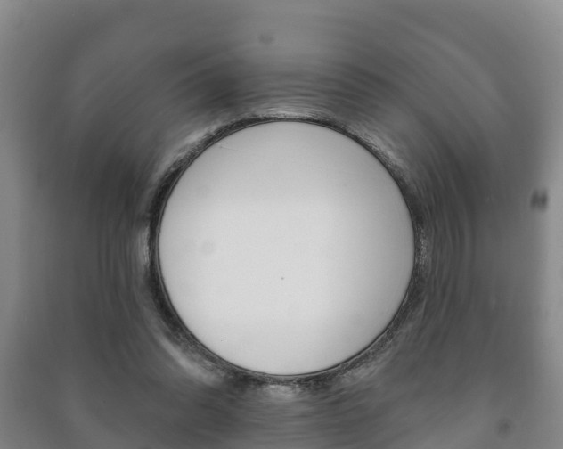 X0000091460302200708161113