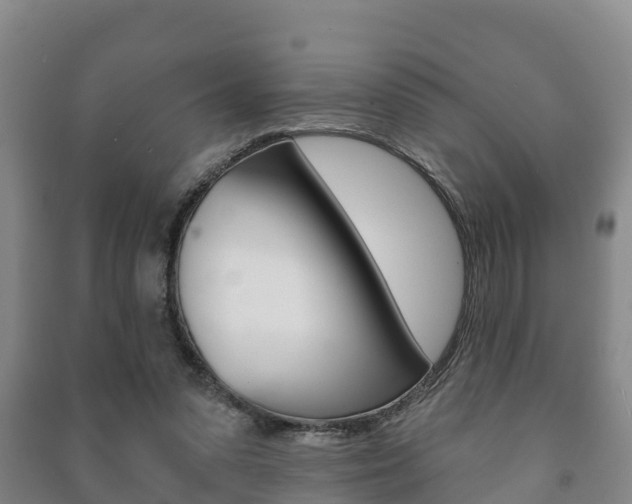 X0000091460303200708161113