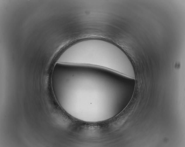 X0000091460304200708161113