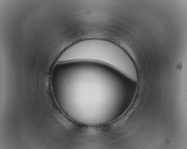 X0000091460305200708161113