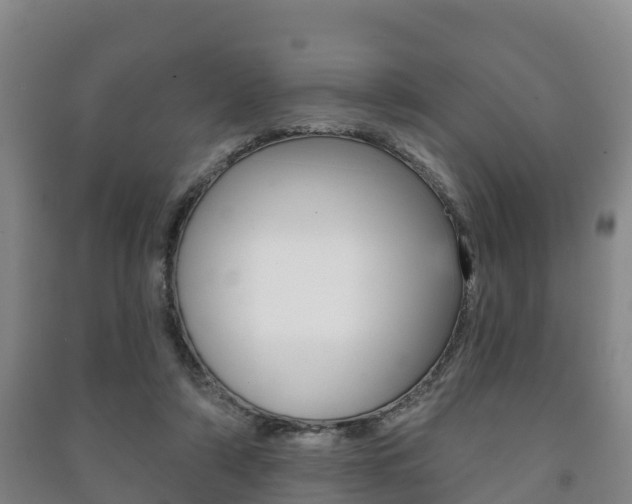 X0000091460306200708161113