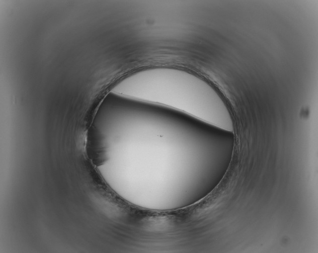 X0000091460307200708161113