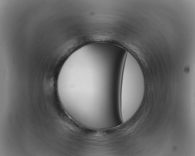 X0000091460308200708161113