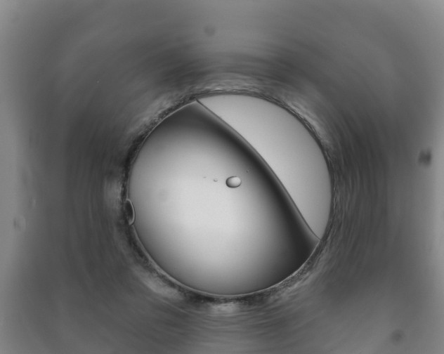 X0000091460309200708161113